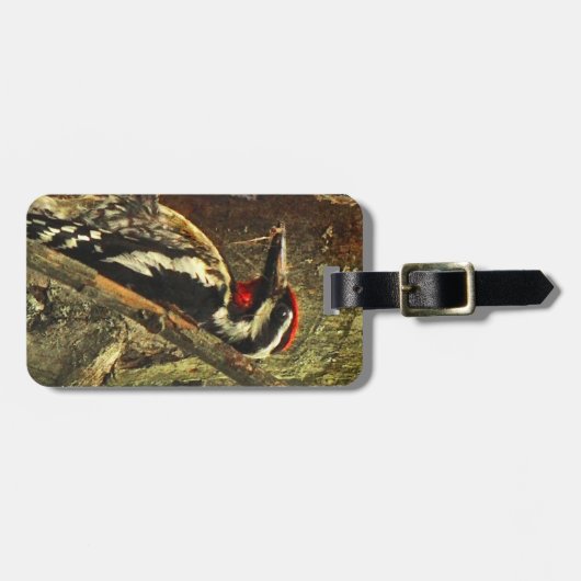 Bagagelabel van de Gele-buiksapper (Voorkant horizontaal)