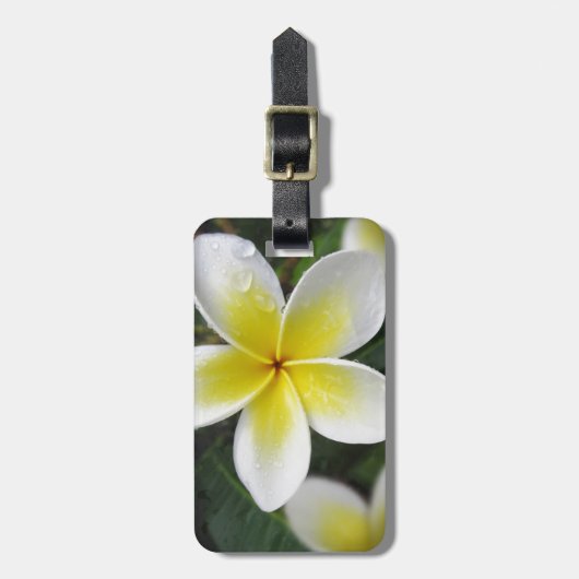 Bagagelabel van Frangipani en Raindrops (Voorkant verticaal)