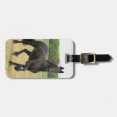 Bagagelabel van Friesian Horse (Voorkant horizontaal)