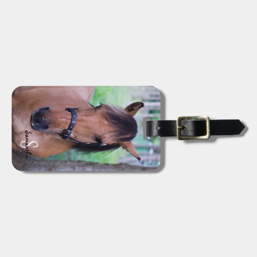 Bagagelabel van paarden (Voorkant horizontaal)