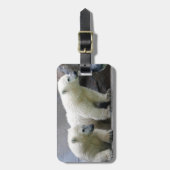 Bagagelabel van polair Beer met lederriem (Voorkant verticaal)