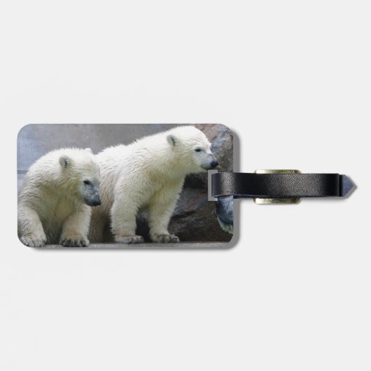 Bagagelabel van polair Beer met lederriem (Achterkant horizontaal)