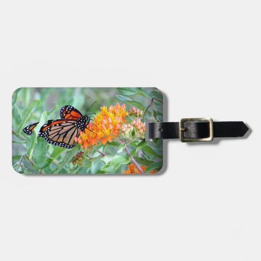 Bagagelabel van vlinder (Voorkant horizontaal)