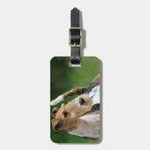Bagagelabel van Wire Fox Terrier (Voorkant verticaal)