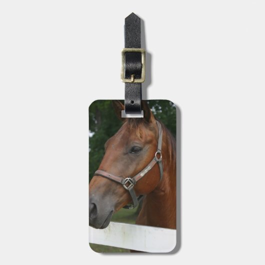 Bagagelabel van zoete kastanjepaarden (Voorkant verticaal)