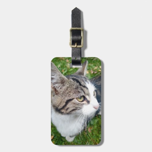 Bagagelabel voor reizen naar huisdieren voor bagag (Voorkant verticaal)