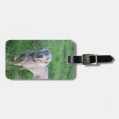 Bagagelabel Weimaraner Lovers (Voorkant horizontaal)