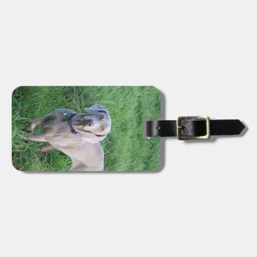 Bagagelabel Weimaraner Lovers (Voorkant horizontaal)