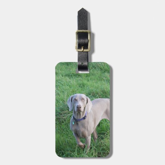 Bagagelabel Weimaraner Lovers (Voorkant verticaal)