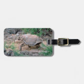 Bagagelabels van Galapagos Tortoise (Voorkant horizontaal)