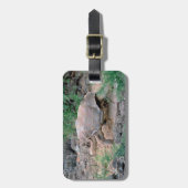 Bagagelabels van Galapagos Tortoise (Voorkant verticaal)