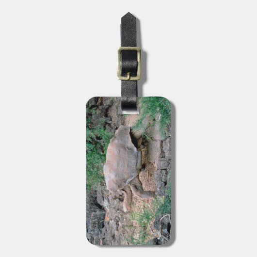 Bagagelabels van Galapagos Tortoise (Voorkant verticaal)