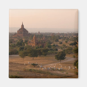 Bagan bij schemermagneet magneet