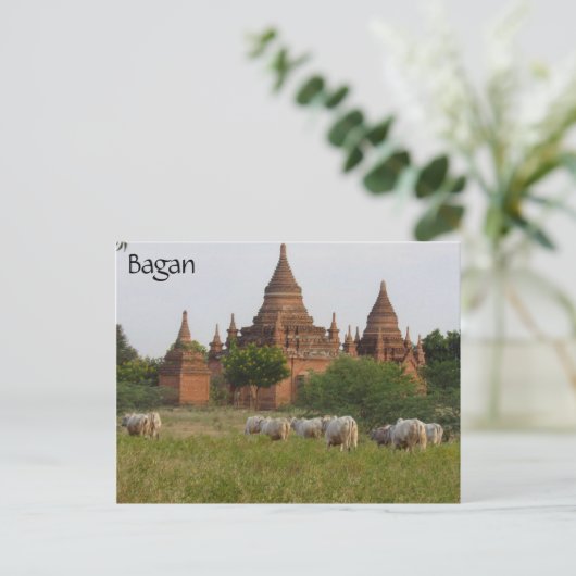bagan tempelvee briefkaart (Staand voorkant)