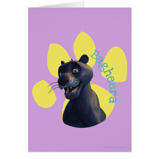Bagheera 1 (Voorkant)