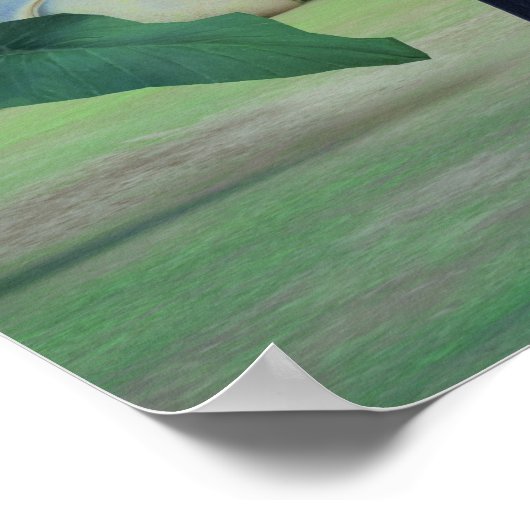 Bagheera 3 2 poster (Hoek)