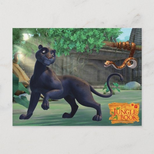Bagheera 3 briefkaart (Voorkant)