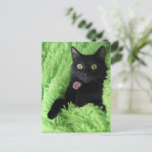 Bagheera het Briefkaart van de Zwarte Kat (Staand voorkant)