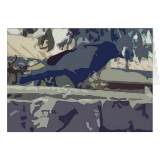 Bagheera The Crow (Voorkant Horizontaal)