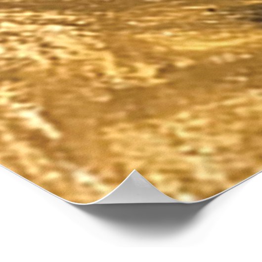 Bagpiper Poster (Hoek)