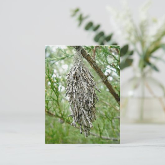 Bagworm Briefkaart (Staand voorkant)
