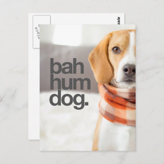 "Bah Hum Dog" Beagle Briefkaart (Voorkant / Achterkant)
