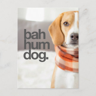 "Bah Hum Dog" Beagle Briefkaart