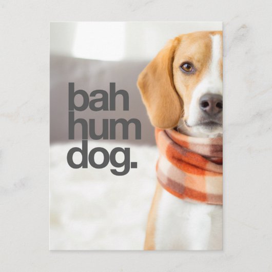 "Bah Hum Dog" Beagle Briefkaart (Voorkant)