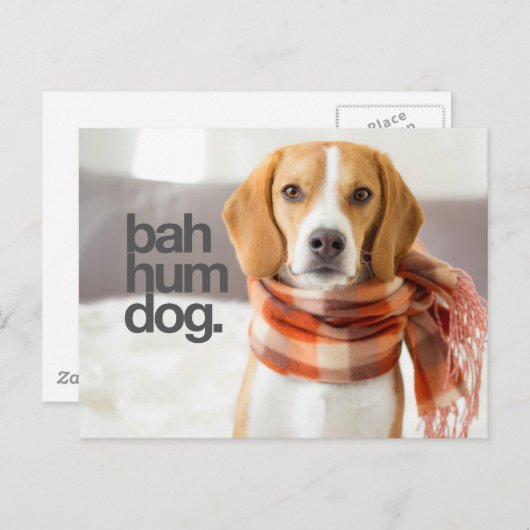"Bah Hum Dog" Beagle Briefkaart (Voorkant / Achterkant)