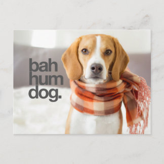 "Bah Hum Dog" Beagle Briefkaart