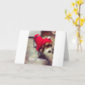Bah Humbug Beagle Christmas Kaart (Gele Bloem)