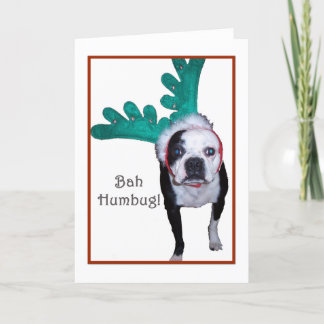Bah Humbug! - Boston Terrier Feestdagen Kaart