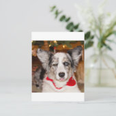 Bah Humbug!!! Briefkaart (Staand voorkant)