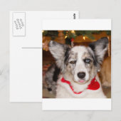 Bah Humbug!!! Briefkaart (Voorkant / Achterkant)