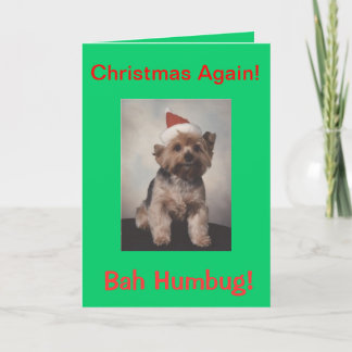 Bah Humbug doggie shirt Feestdagen Kaart