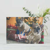 Bah Humbug Dwaas Huisdier Foto Vakantiekaart Kaart (Staand voorkant)