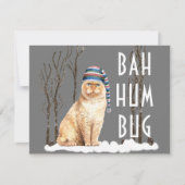 Bah Humbug Funny Cat Kerstmis Briefkaart (Voorkant)