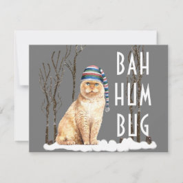 Bah Humbug Funny Cat Kerstmis Briefkaart