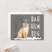 Bah Humbug Funny Cat Kerstmis Briefkaart (Voorkant / Achterkant in situ)