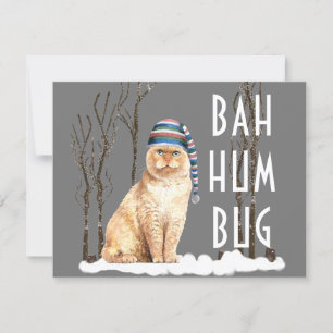 Bah Humbug Funny Cat Kerstmis Briefkaart
