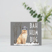 Bah Humbug Funny Cat Kerstmis Briefkaart (Staand voorkant)