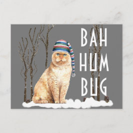 Bah Humbug Funny Cat Kerstmis Briefkaart