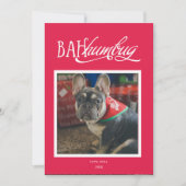 Bah Humbug Gekke Huisdier Foto Vakantie Kaart (Voorkant)