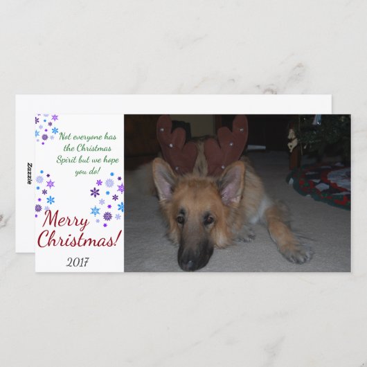 Bah Humbug Kerst Kaart Duitse Herder grappig (Voorkant / Achterkant)