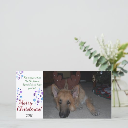 Bah Humbug Kerst Kaart Duitse Herder grappig (Staand voorkant)