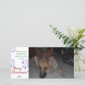Bah Humbug Kerstkaart Duitse Herder grappig (Staand voorkant)