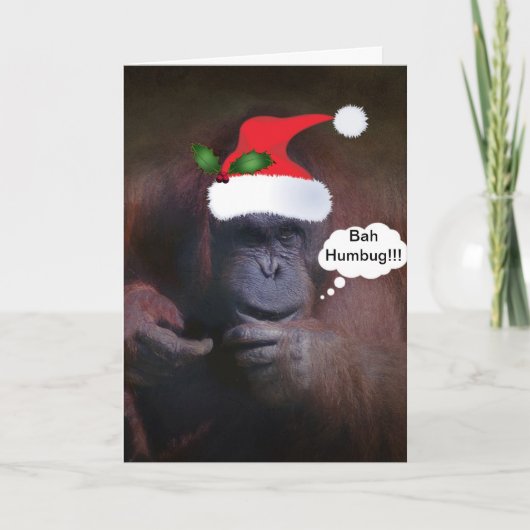 BAH HUMBUG!!! MET EEN KERSTKAART VAN DE TWIJG VAN FEESTDAGEN KAART (Voorkant)