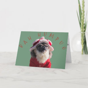 "Bah Humpug" Funny Pug Santa Claus Feestdagen Kaart