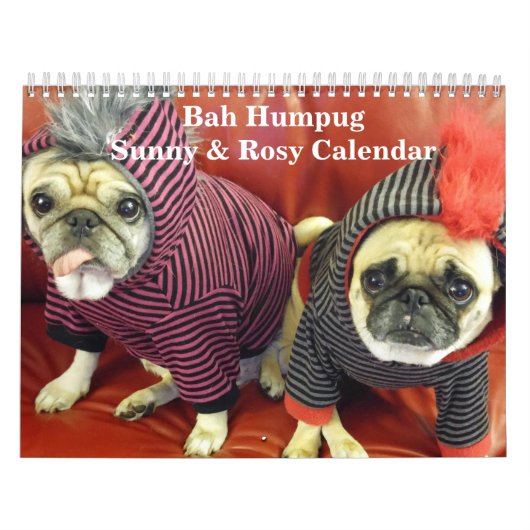Bah Humpug Sunny & Rosy Agenda 2016 Kalender (Hoes)