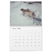 Bah Humpug Sunny & Rosy Agenda 2016 Kalender (Jan 2026)